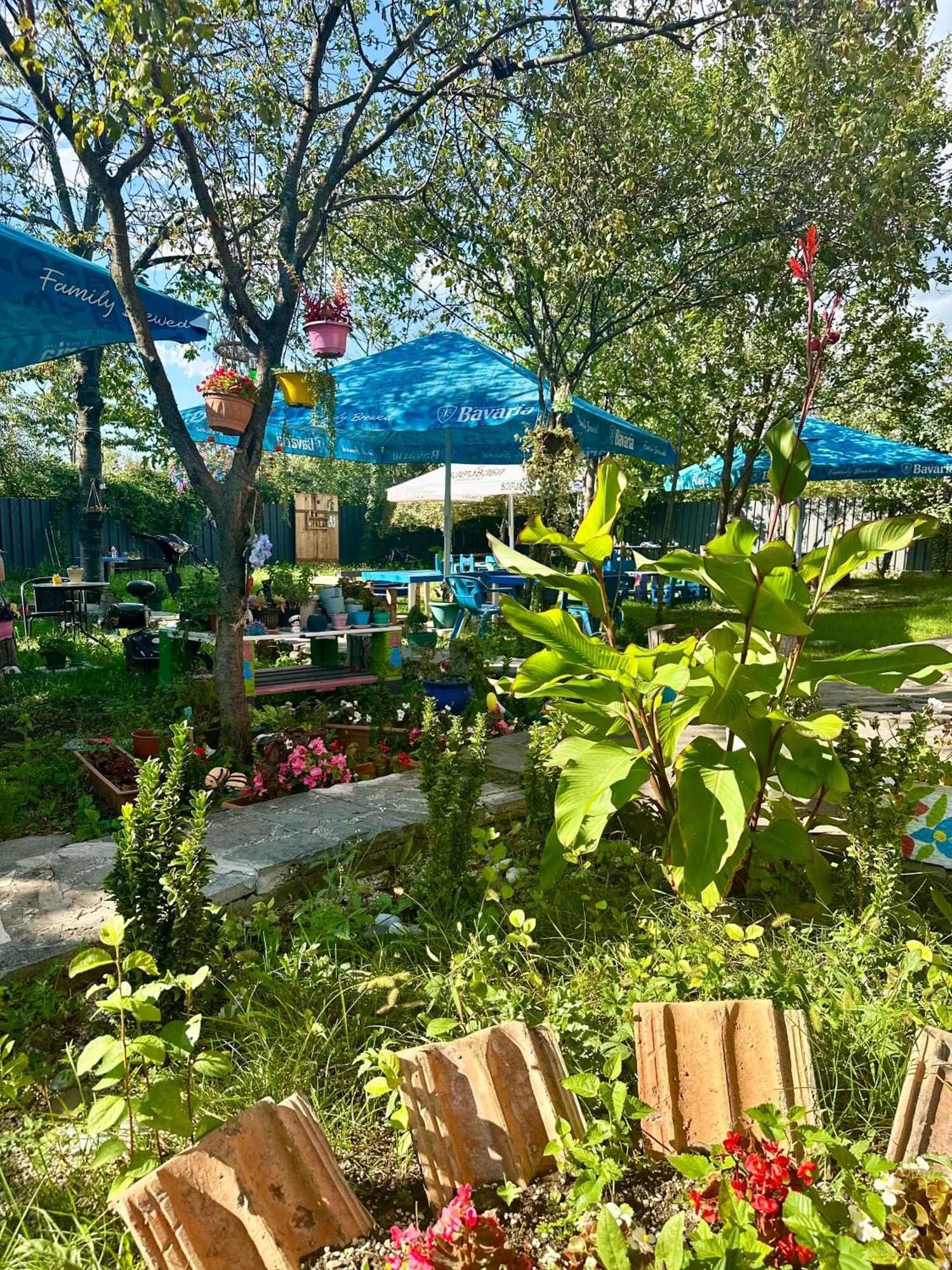 Napoli Nataxtari Hotel,Pool,Bar,Kamping Natakhtari Zewnętrze zdjęcie