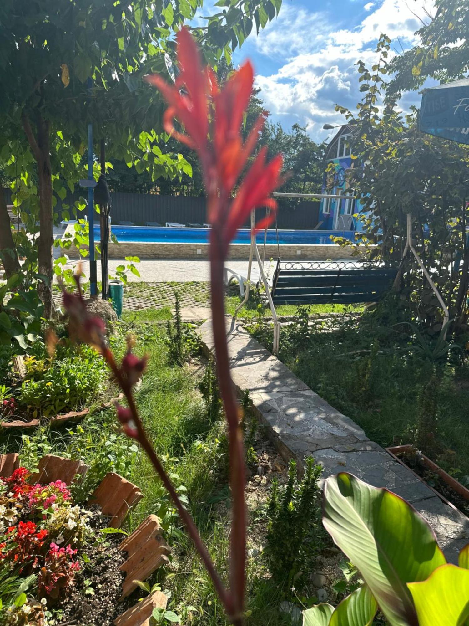 Napoli Nataxtari Hotel,Pool,Bar,Kamping Natakhtari Zewnętrze zdjęcie